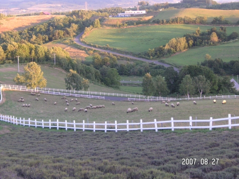 s_PICT0281.jpg